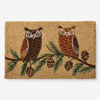 Owl Coir Door Mat